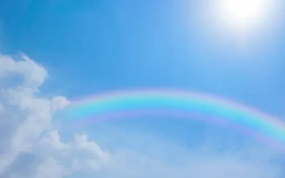 これからも、迷った時や、ターニングポイントに差し掛かったようなときには、鑑定の依頼をします。